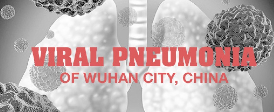 Virus Pneumonia Wuhan, Cina